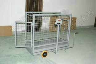 高原放養牦牛可移動牲畜秤 精準稱重助力畜牧業發展