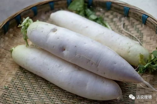 樹生態農業新形象 理塘縣舉辦生態農產品展銷會助力農副產品銷售